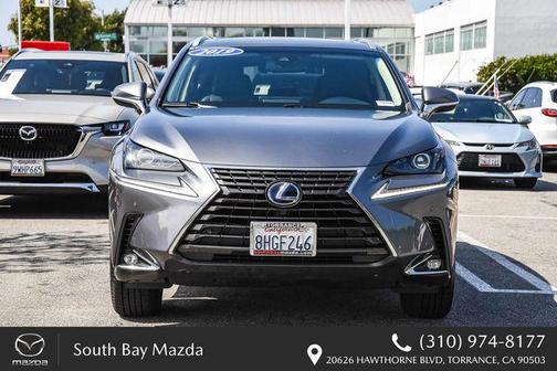 Gray Pearl 2019 Lexus NX 300h Base