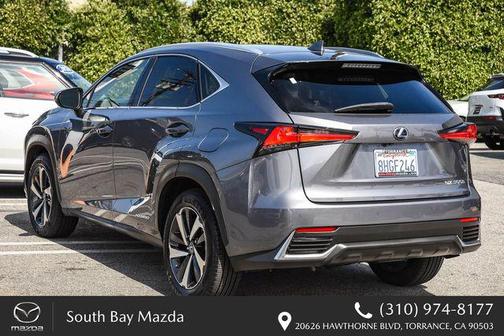 Gray Pearl 2019 Lexus NX 300h Base