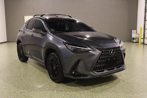 Cloudburst Gray 2024 Lexus NX 250 Premium
