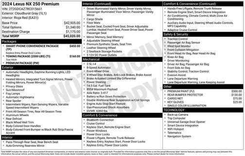 Cloudburst Gray 2024 Lexus NX 250 Premium