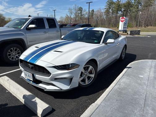 Oxford White 2020 Ford Mustang EcoBoost