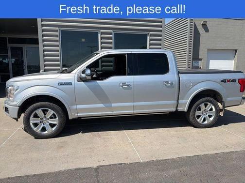Ingot Silver 2019 Ford F-150 Platinum