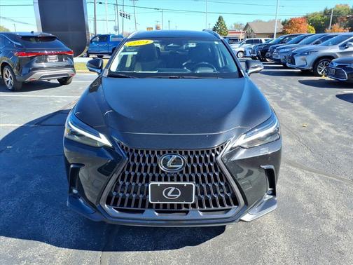 2024 Lexus NX 350 Luxury