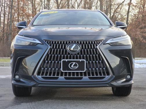 2024 Lexus NX 350 Luxury