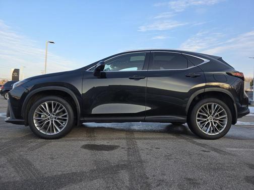 2024 Lexus NX 350 Luxury