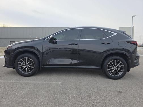 2024 Lexus NX 350 Premium