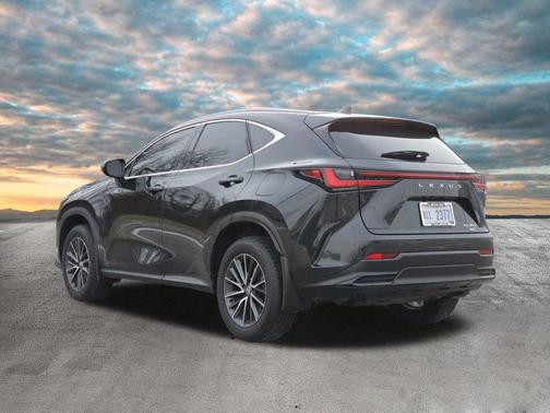 2024 Lexus NX 350 Premium