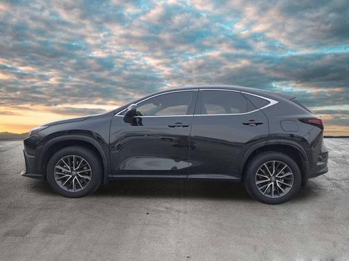2024 Lexus NX 350 Premium