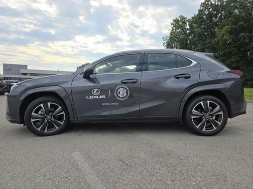 Cloudburst Gray 2026 Lexus UX 300h Premium