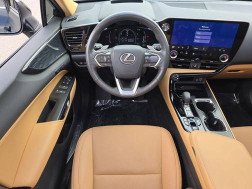 2025 Lexus NX 350h Premium