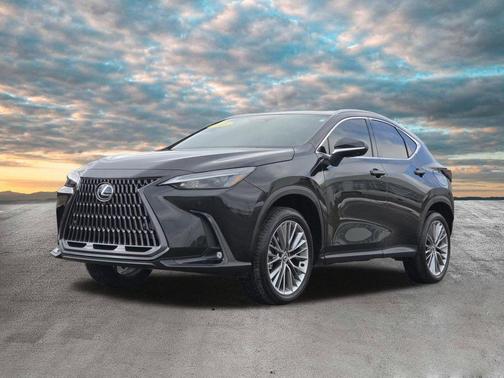2025 Lexus NX 350h Premium