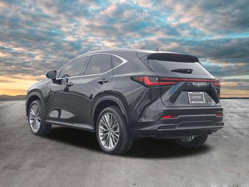 2025 Lexus NX 350h Premium