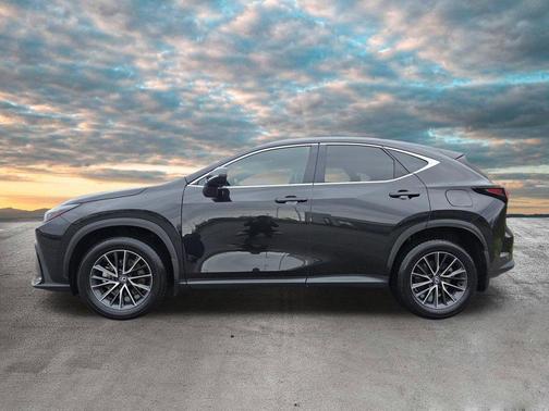 Caviar 2024 Lexus NX 350 Premium