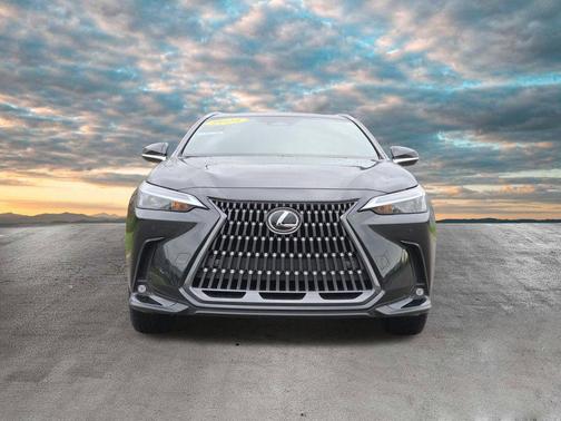 Caviar 2024 Lexus NX 350 Premium