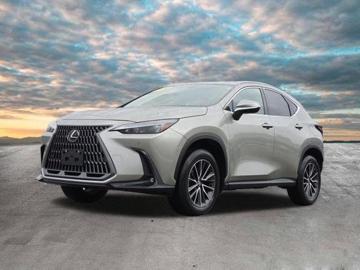 2022 Lexus RX 350 Premium