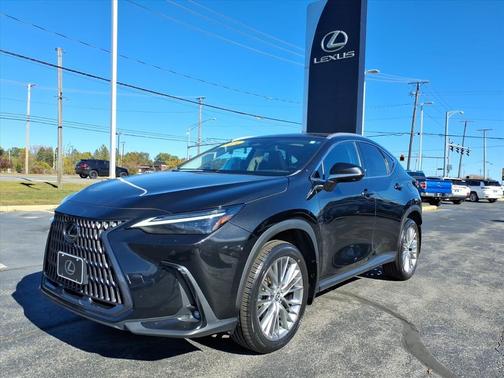 2024 Lexus NX 350 Luxury