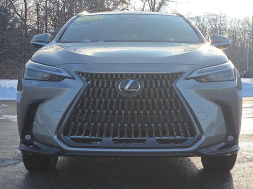 2023 Lexus NX 350 Luxury