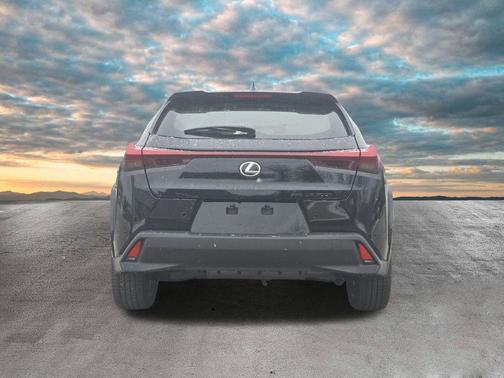 2025 Lexus UX 300h Premium