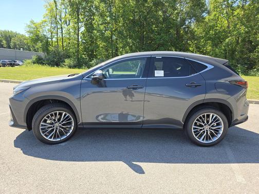 Cloudburst Gray 2026 Lexus NX 350 Premium