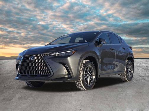 2025 Lexus NX 350 Premium