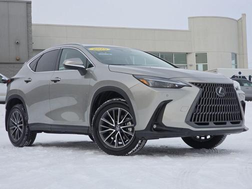 2025 Lexus NX 350 350 Base