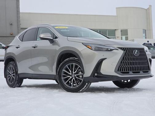 2025 Lexus NX 350 350 Base
