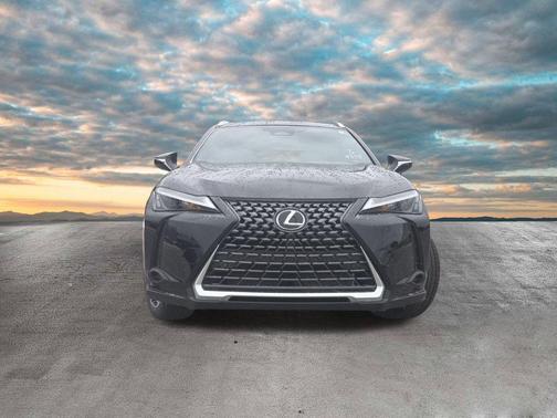 2025 Lexus UX 300h Premium