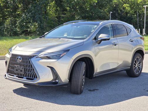 Atomic Silver 2025 Lexus NX 350h Luxury