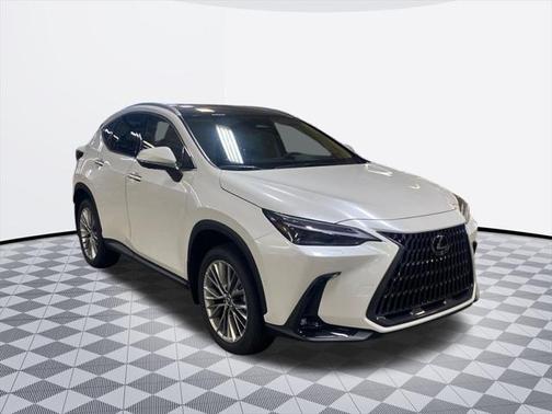 2025 Lexus NX 350 350 Luxury