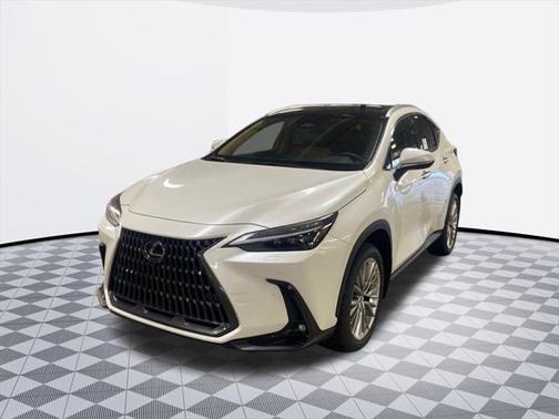 2025 Lexus NX 350 350 Luxury