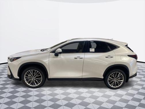 2025 Lexus NX 350 350 Luxury
