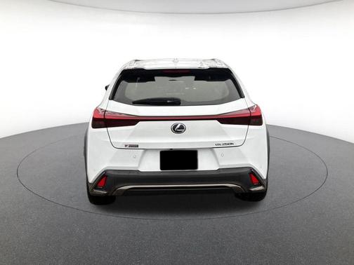 2021 Lexus UX 250h F Sport