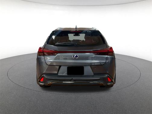 2022 Lexus UX 250h F Sport