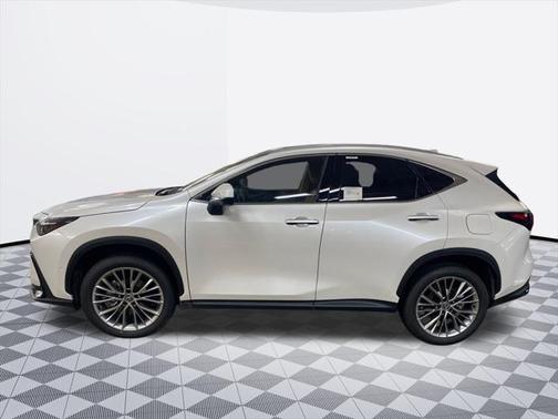 2025 Lexus NX 350 350 Luxury