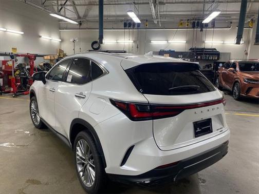 2025 Lexus NX 350 350 Luxury