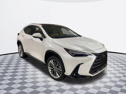 2025 Lexus NX 350 350 Luxury