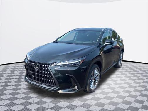 2025 Lexus NX 350 350 Luxury