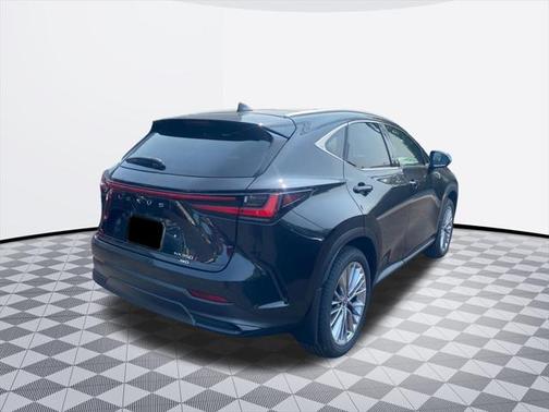 2025 Lexus NX 350 350 Luxury