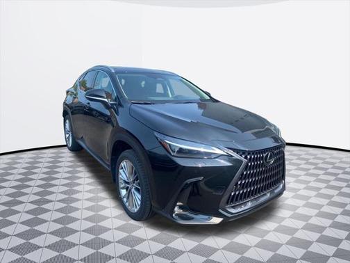 2025 Lexus NX 350 350 Luxury