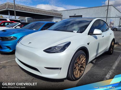 2023 Tesla Model Y Performance Dual Motor All-Wheel Drive