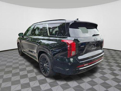 Abyss Black Pearl 2025 Hyundai PALISADE Calligraphy Night Edition