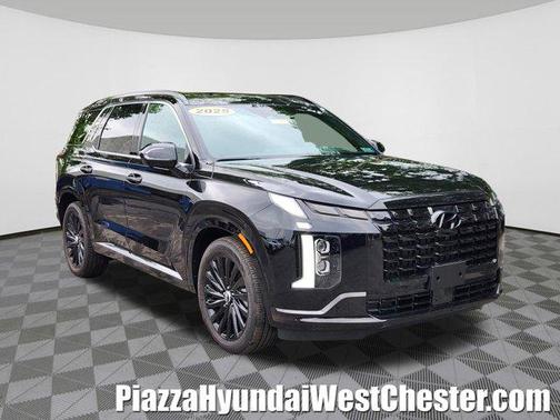 Abyss Black Pearl 2025 Hyundai PALISADE Calligraphy Night Edition