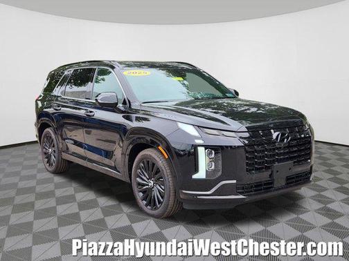 Abyss Black Pearl 2025 Hyundai PALISADE Calligraphy Night Edition