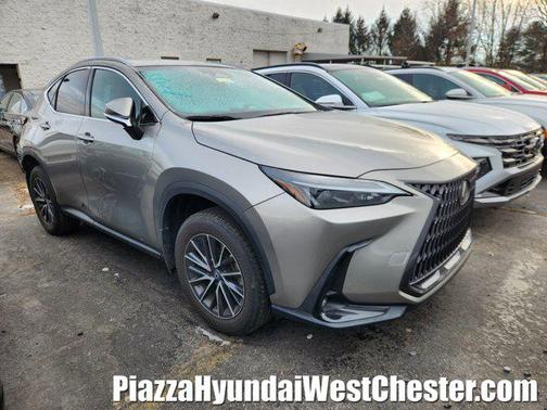 2024 Lexus NX 250 Base