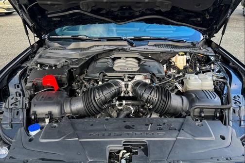 Shadow Black 2025 Ford Mustang GT