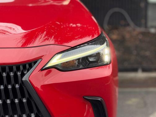 2023 Lexus NX 250 Base