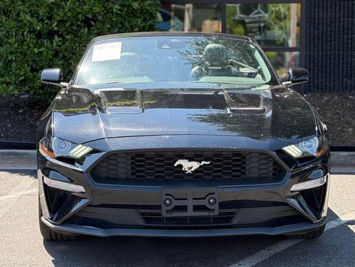 SHADOW BLACK 2023 Ford Mustang EcoBoost Premium