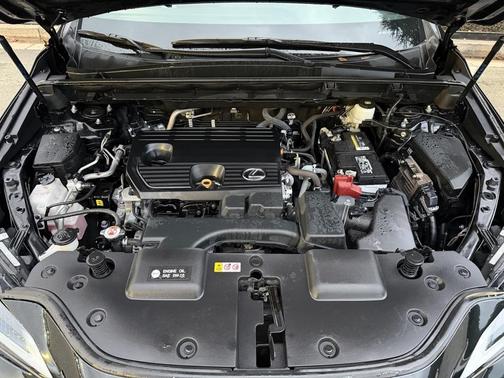 2023 Lexus NX 250 Premium