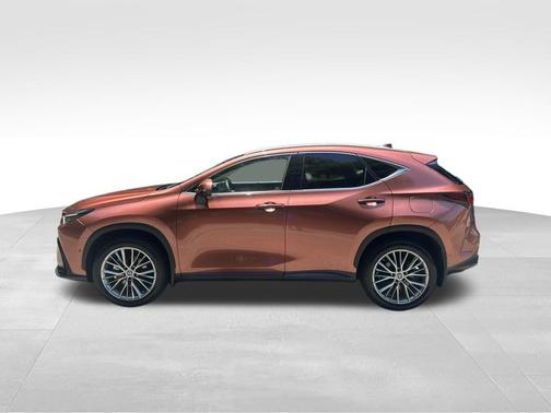 Copper 2025 Lexus NX 350 Luxury