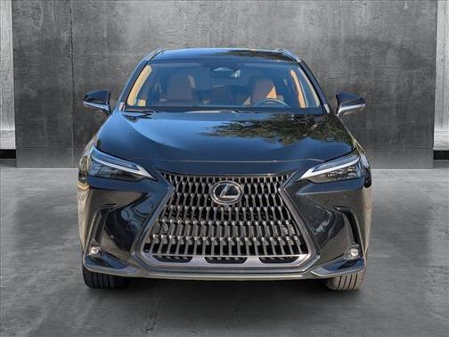 2023 Lexus NX 350 Luxury